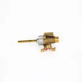 245930 FISHER PAYKEL Vlv Dual