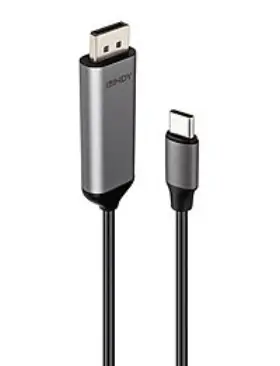 Lindy 43504 Video Cable Adapter 2 M Usb Type-c Displayport Grey