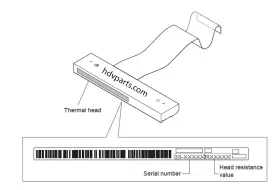 149326611 SONY Head Thermal Miami