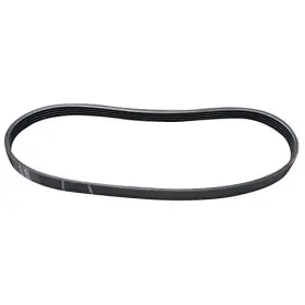 EXPW10006384 XPARTCO Washer Drive Belt