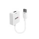Lindy Converter Hdmi To Displayport 4k 3840x2160. Fixed Price $54.39.